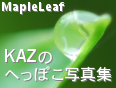 Link To: MapleLeaf - X̂ւۂʐ^