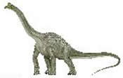 0Pelorosaurus