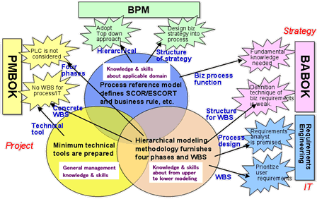 bpmpmbok_inte