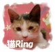 猫写真Ring
